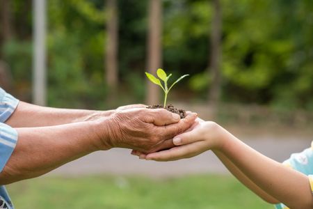 ESG e COP30: Rumo a um Futuro com Mais Sustentabilidade