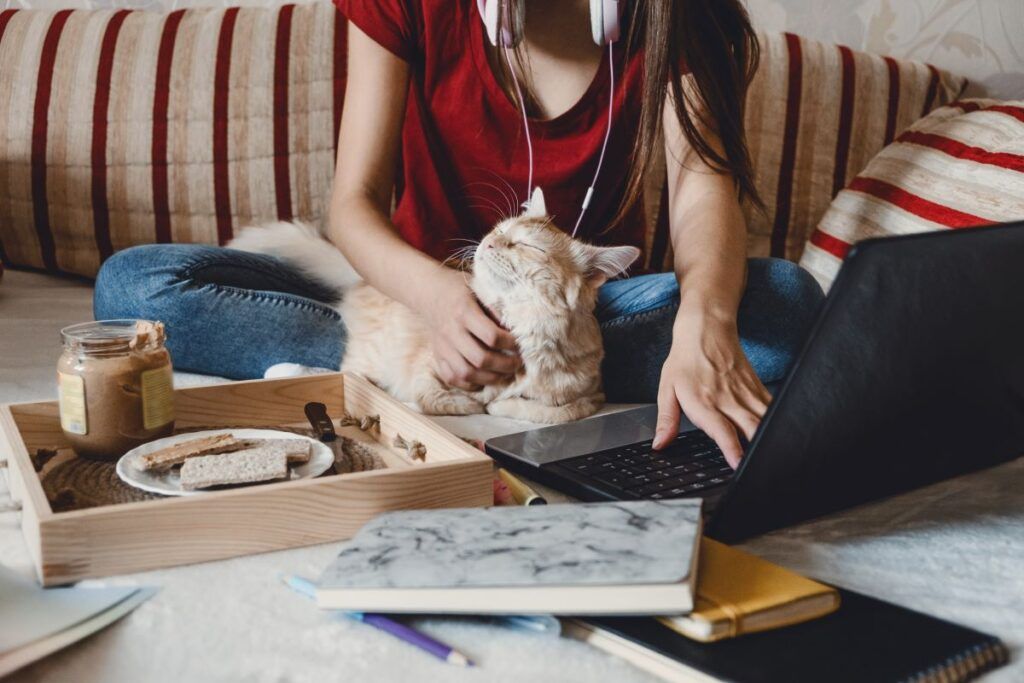 Mulher trabalhando com o notebook no sofá da sua sala com seu gato no colo)