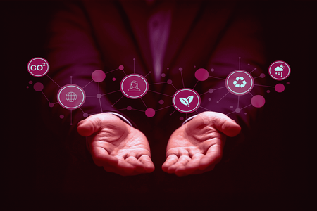 Empresas Conscientes: Equilíbrio Entre Negócios, Pessoas e Planeta