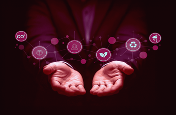 Empresas Conscientes: Equilíbrio Entre Negócios, Pessoas e Planeta