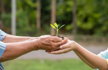 ESG e COP30: Rumo a um Futuro com Mais Sustentabilidade
